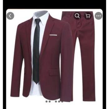 Men`s Two Piece Suit -   Wine