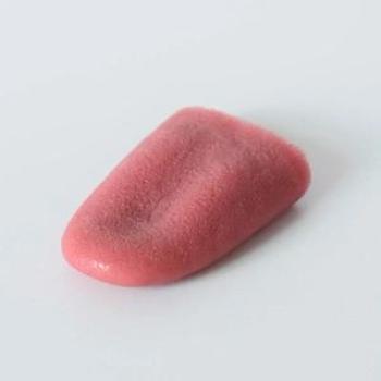 Magic Tricks Realistic Fake Tongue Pranks And Jokes Gross Simulation Tongues Funny Toys
