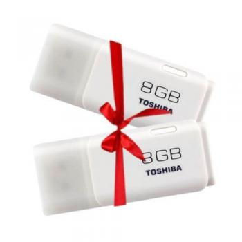 Bundle of 2 USB Pendrives - 8GB White
