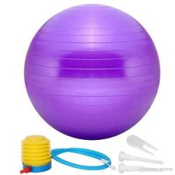 Yoga /Gym / Massage Ball With Pump 65cm --- Purple