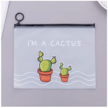 Cute Transparent Frosted Cactus Ring Storage Bag Large Capacity Pencil Case transparent