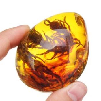 Beautiful Natural Amber Pendant Resin Animal Scorpion Ant Insect Necklace centipede
