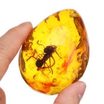 Beautiful Natural Amber Pendant Resin Animal Scorpion Ant Insect Necklace Ants