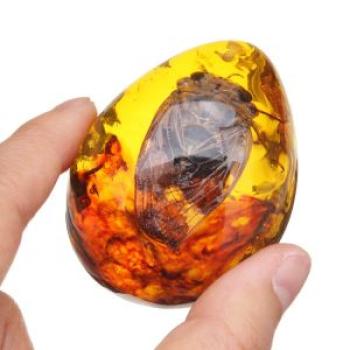 Beautiful Natural Amber Pendant Resin Animal Scorpion Ant Insect Necklace cicada