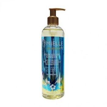 Moisture RX Hawaiian Ginger Moisturizing and Anti-Breakage Shampoo - 355ml