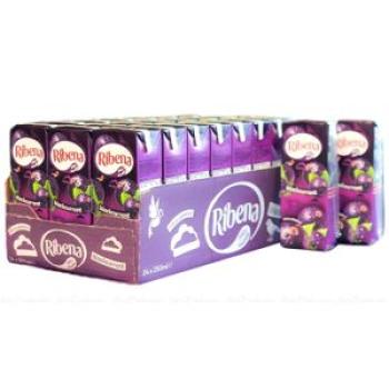 Blackcurrant Juice - 250ml x 24 Pieces