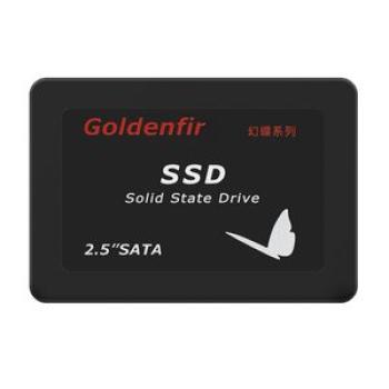Goldenfir 2.5 inch Solid State Drive, Capacity: 500GB