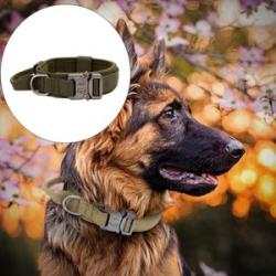 Pets Neck Belt Adjustable Nylon   Green XL:50-60