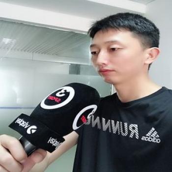 linhuipad custom journalist Interview Mic windscreen