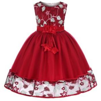 Girl Children Kids baby New Arrival embroidery birthday wedding Dinner Party princess Dress