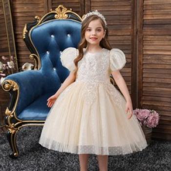 Girl Children Kids New arrival Chrstmas Birthday Wedding evening Dinner Party princess Dress