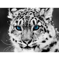 Round Diamond Rhinestones 5D DIY Diamond Painting for Home