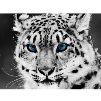 Round Diamond Rhinestones 5D DIY Diamond Painting for Home