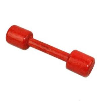 Kids Dumbbell Children Exercise Fitness Toy Wooden Dumbbell