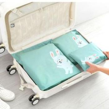 Ivyshion Portabletravel Shoes Bag Wardrobe Luggage Storage