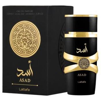 Asad Long-Lasting Men’s Eau de Parfum Fragrance - 100ml