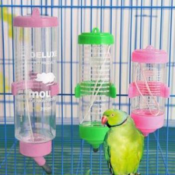 New Pet Hamster Water Dispenser Plastic Hanging Fountain Bottle Drinking Feeder for Guinea Pig Rabbi