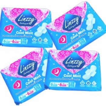 4PCS Sanitary Pad-Cool Mint  Protection and Maximum Comfort-6 Pads+6 Heavy +3 Liners-  Blue
