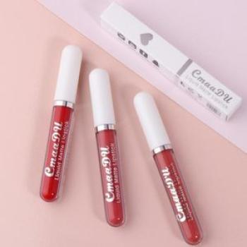 Portable Waterproof Liquid Lipstick Shimmery Lip Matte Rich Lip Colors Lipstick for Festival Party a