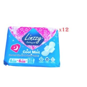 12 PCS Sanitary Pad-Cool Mint  Protection and Maximum Comfort-6 Pads+6 Heavy +3 Liners-  Blue