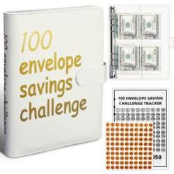 100 Envelopes Money Saving Challenge Budget Binder, Budget Planner & Saving Money - Easy and Fun Way