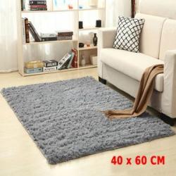Gray Area Rug For Living Room Soft Carpet - 40*60cm