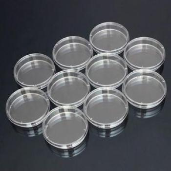 10 PCS Polystyrene Sterile Petri Dishes Bacteria Dish Laboratory Medical Biological Scientific Lab S