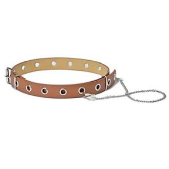 Women Perforated Leather Belt Iron Chain Decoration Waist Belts for Jeans Dress New,Brown NO5242