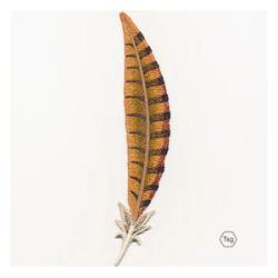 Embroidered Feather-Bookmark Unique Hand-made Novelty